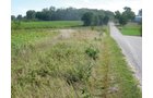 Property photo 25 - 110+/- Acres offered in 4 Tillable Tracts